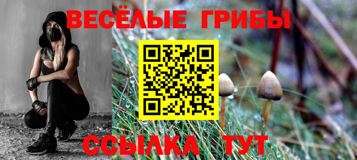 дарнет шоп  Вход с VPN  Шебекино  Псилоцибиновые грибы Magic Shrooms 