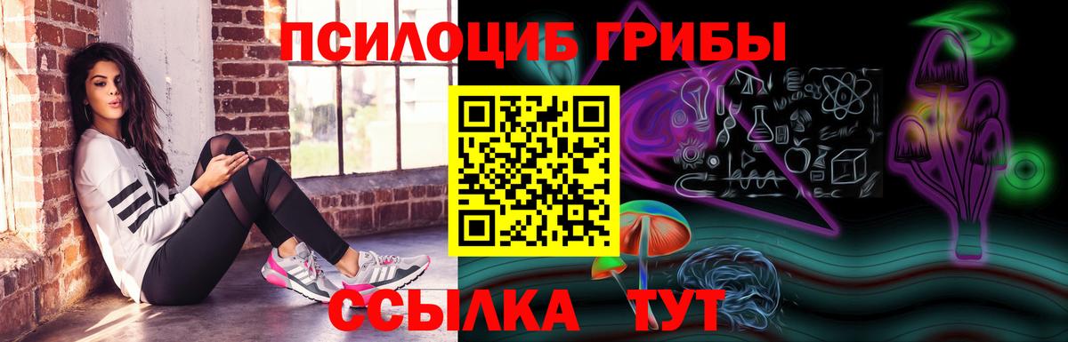 Галлюциногенные грибы мицелий Шебекино